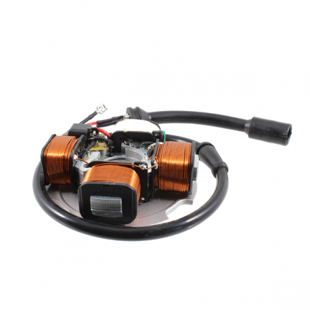https://images.rms.it/Moto/Impianto-Elettrico/Statori/big/Rms-Classic-246350015.png
