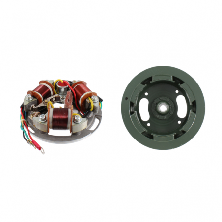 https://images.rms.it/Moto/Impianto-Elettrico/Rotori/big/Rms-Classic-246360143.png