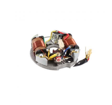 https://images.rms.it/Moto/Impianto-Elettrico/Statori/big/Rms-Classic-246360144.png