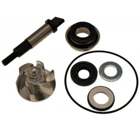 KIT REVISIONE POMPA ACQUA...