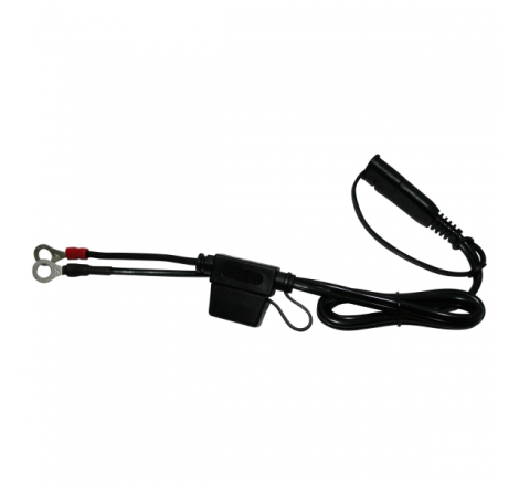 Terminale ad Anello con Fusibile BS