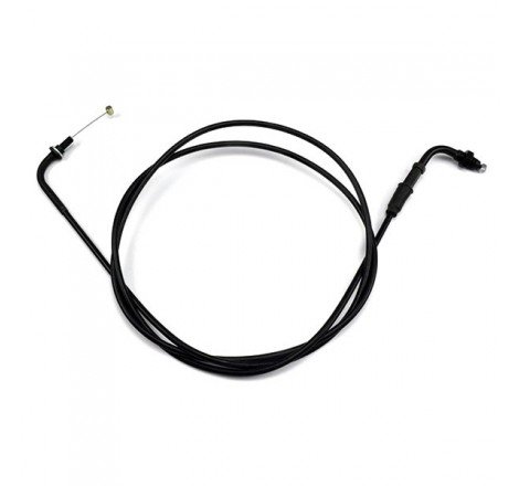 TRASM.GAS COMPL. LEONARDO...