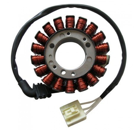 STATORE YAMAHA FZS 1000 FAZER