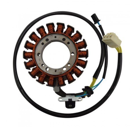 STATORE SUZUKI 650 BURGMAN...