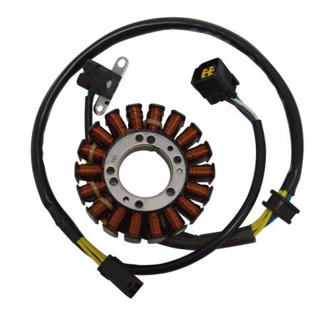 STATORE SUZUKI DR Z...