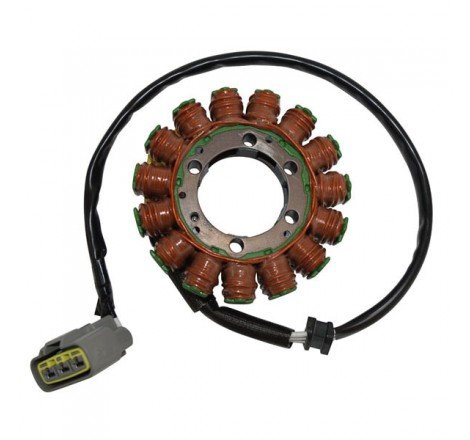 STATORE KAWASAKI 1000...