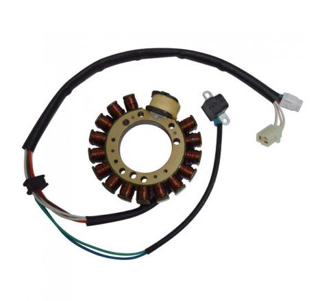 STATORE YAMAHA YFM 350...