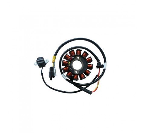 STATORE 12 POLI KYMCO...