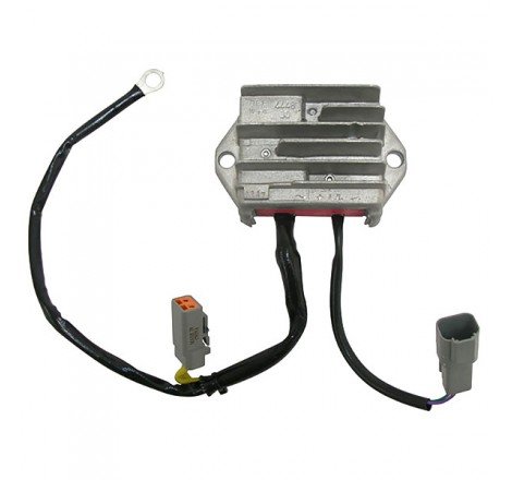 REGOLATORE 12V/30A - A...