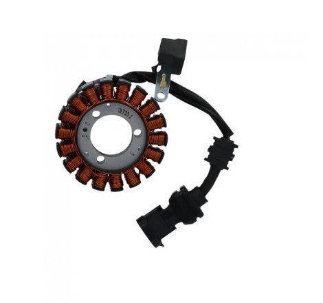 STATORE MOT.PIAGGIO 250...