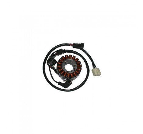 STATORE PIAGGIO 300 X7...