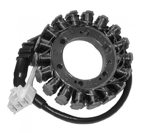 STATORE GILERA GP...