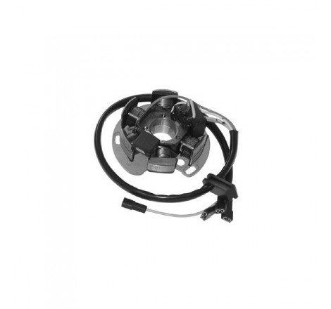 STATORE 6 POLI APRILIA RS...