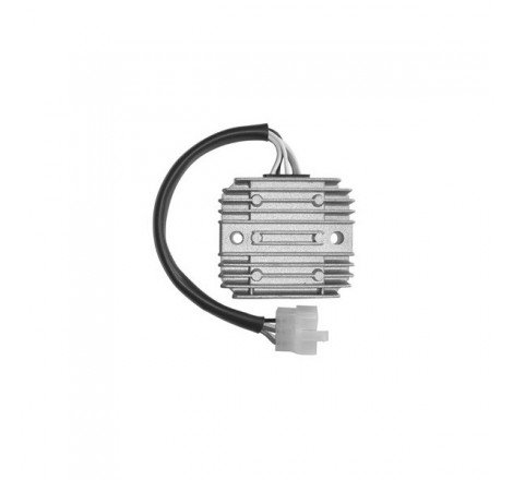 REGOLAT.12V YAMAHA FZS 600...