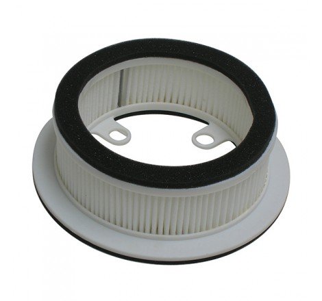 FILTRO ARIA CARTER DX T-MAX...