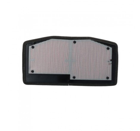 FILTRO ARIA TRIUMPH 765...