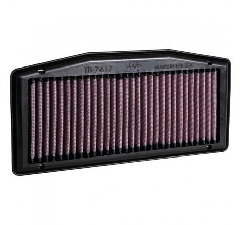 TB-7617 Replacement Air Filter