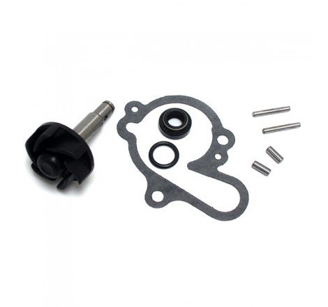 KIT RIPARAZIONE POMPA ACQUA...