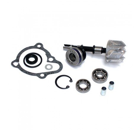 KIT RIPARAZIONE POMPA ACQUA...