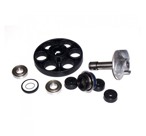 KIT RIPARAZIONE POMPA ACQUA...