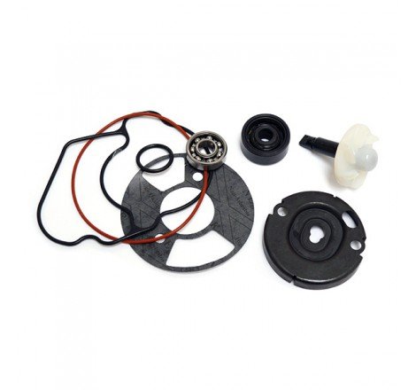 KIT RIPARAZIONE POMPA ACQUA...