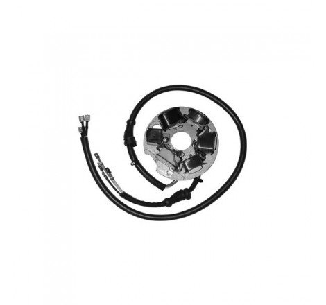 DUCATI STATORE PIAGGIO...