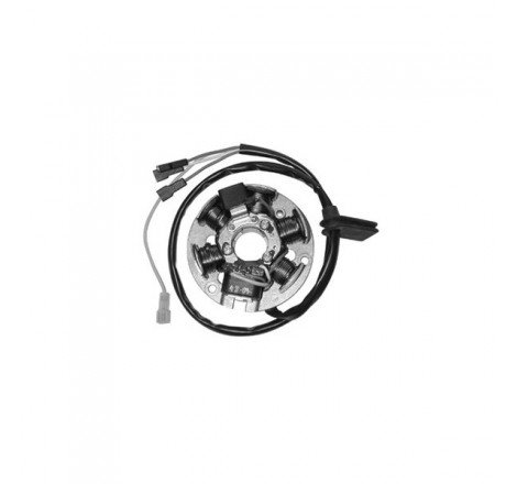 DUCATI STATORE C/PIASTRA...