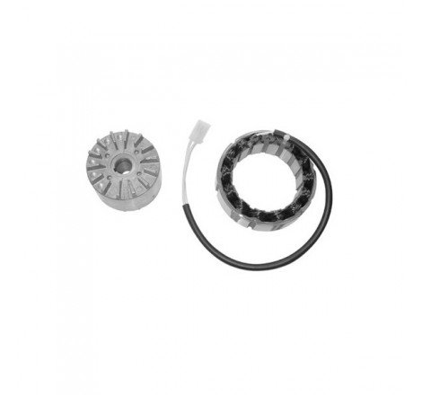 ALTERNATORE DUCATI 12V/350W...