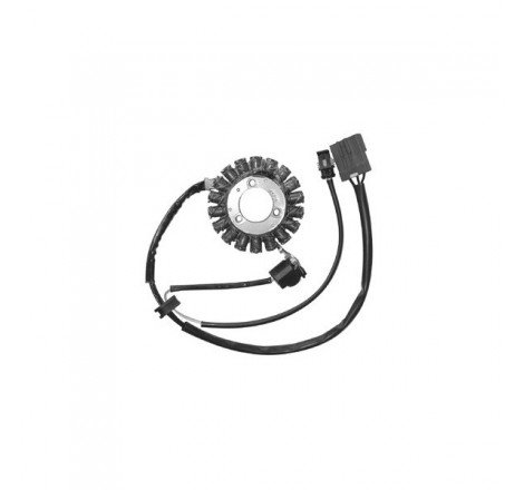 DUCATI STATORE MALAGUTI...