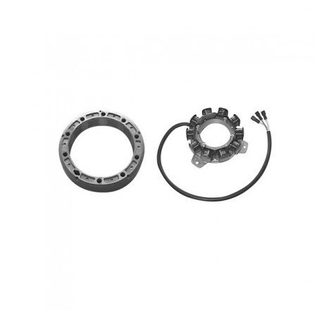 ALTERNATORE DUCATI 12V/220W...