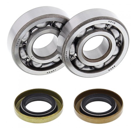 KIT CUSCINETTI E PARAOLIO...