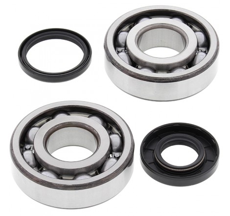 KIT CUSCINETTI E PARAOLIO...