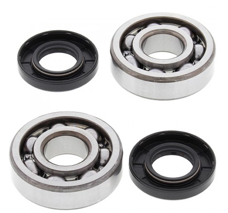 KIT CUSCINETTI E PARAOLIO...