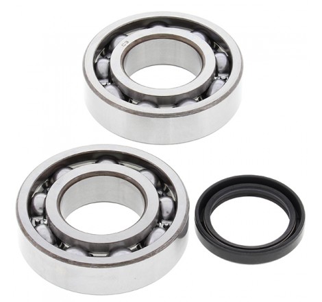 KIT CUSCINETTI E PARAOLIO...