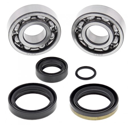 KIT CUSCINETTI E PARAOLIO...