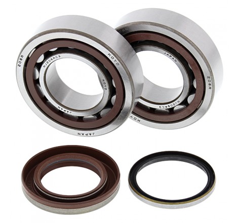 KIT CUSCINETTI E PARAOLIO...