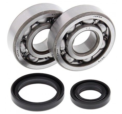 KIT CUSCINETTI E PARAOLIO...