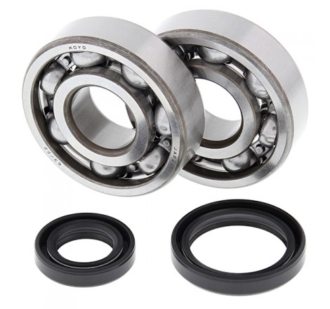 KIT CUSCINETTI E PARAOLIO...