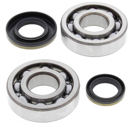 KIT CUSCINETTI E PARAOLIO...