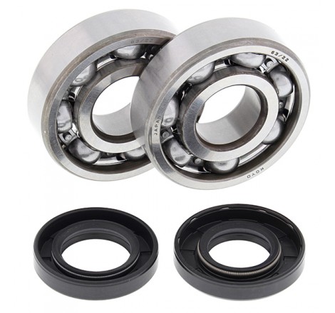 KIT CUSCINETTI E PARAOLIO...