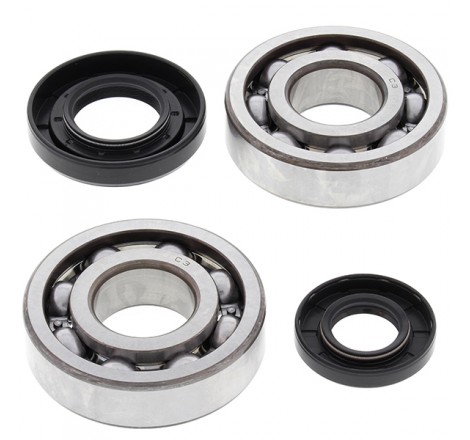 KIT CUSCINETTI E PARAOLIO...