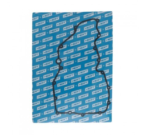 Guarnizione lato frizione