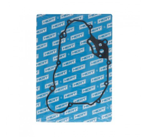 Guarnizione Lato Frizione