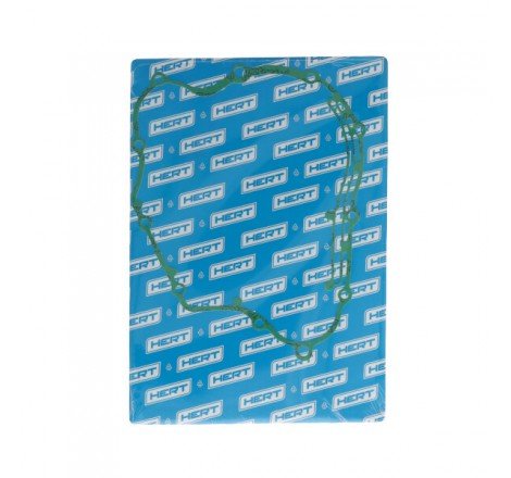 Guarnizione Lato Frizione