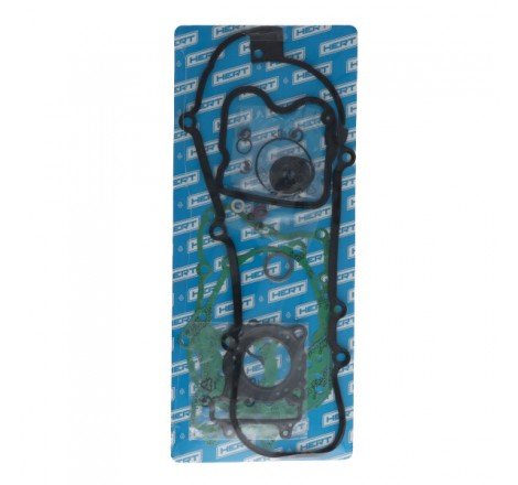 Serie Guarnizioni Motore