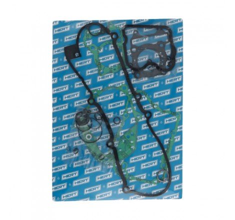 Serie Guarnizioni Motore