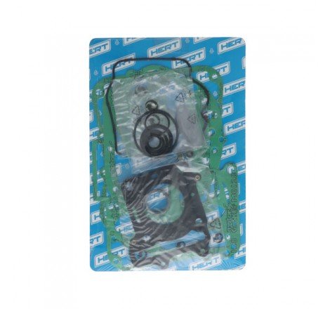 Serie Guarnizioni Motore