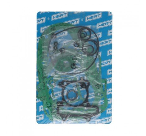 Serie Guarnizioni Motore