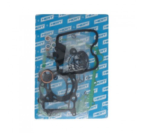 Serie Guarnizioni Motore