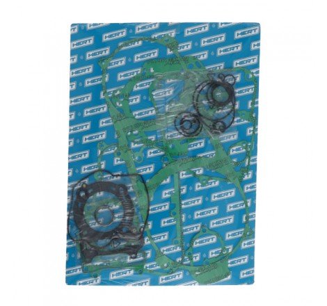 Serie Guarnizioni Motore